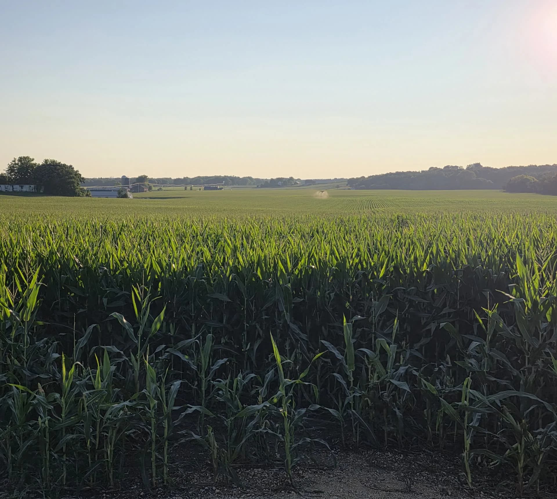 Agriculture drone above a field near sunset